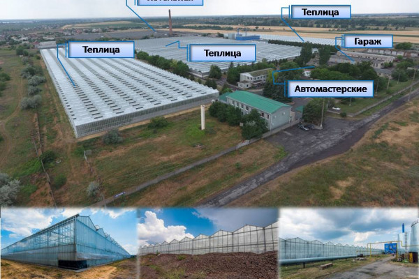 The existing agricultural complex in Kherson